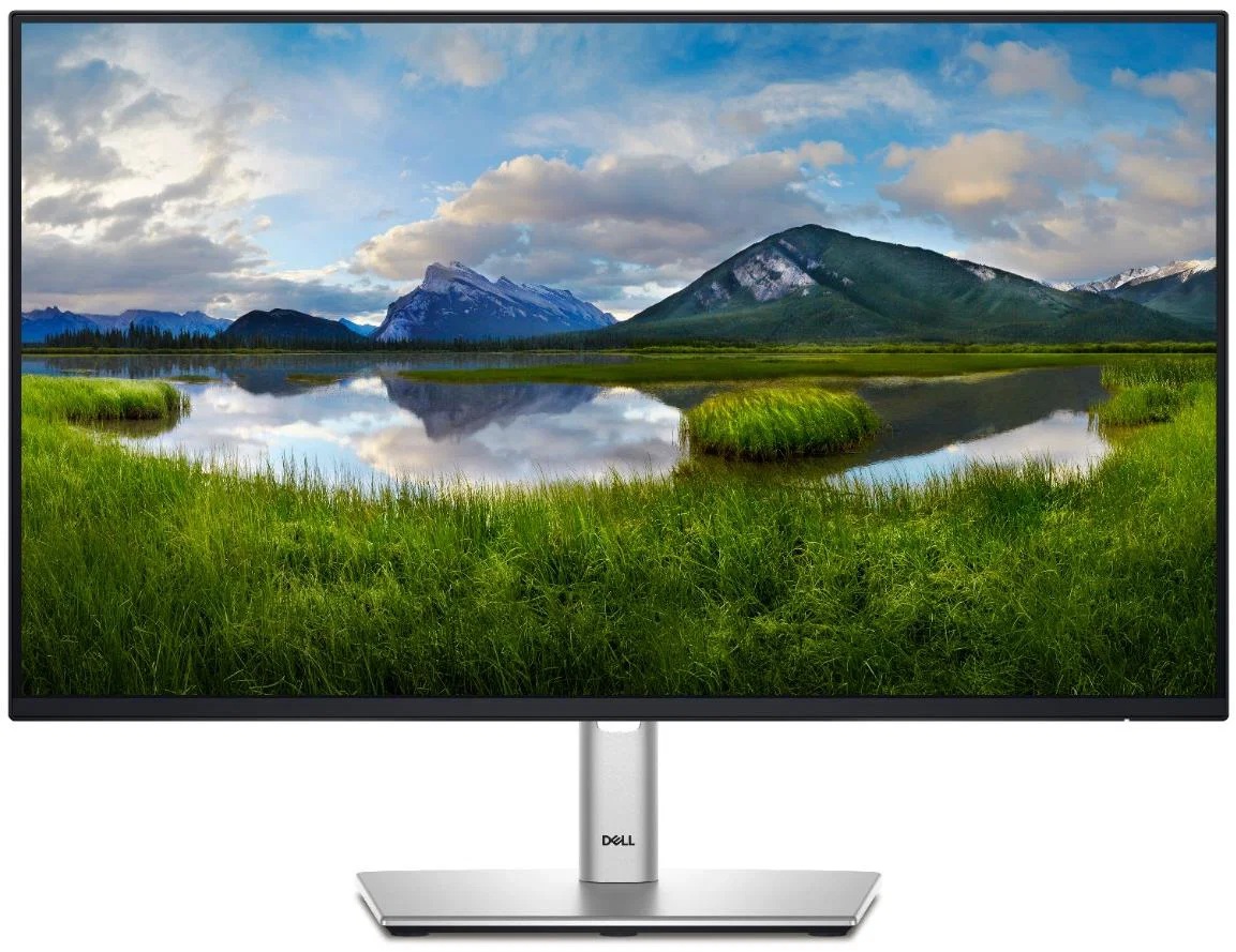 Dell P2425H Professional 24