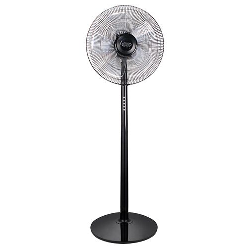 ARGO 398200033 