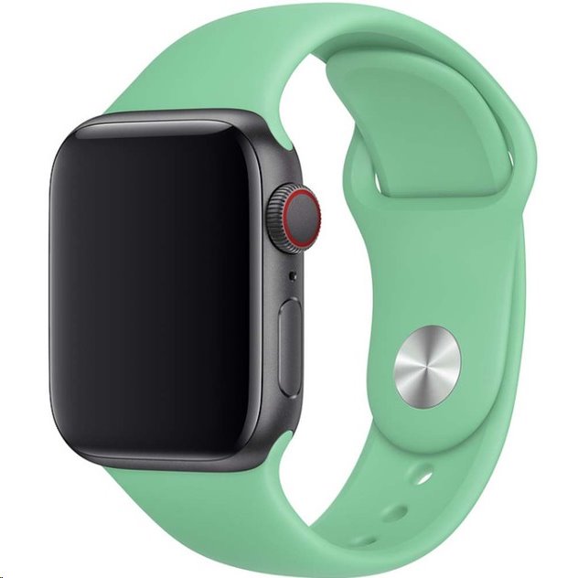 Apple MV762FE/A 40mm Sport Band Spearmint
